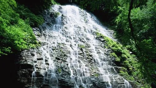 数字化可靠性