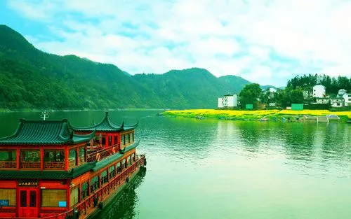 创新创新高端